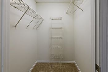 A white walk-in closet with shelving and a carpeted floor.